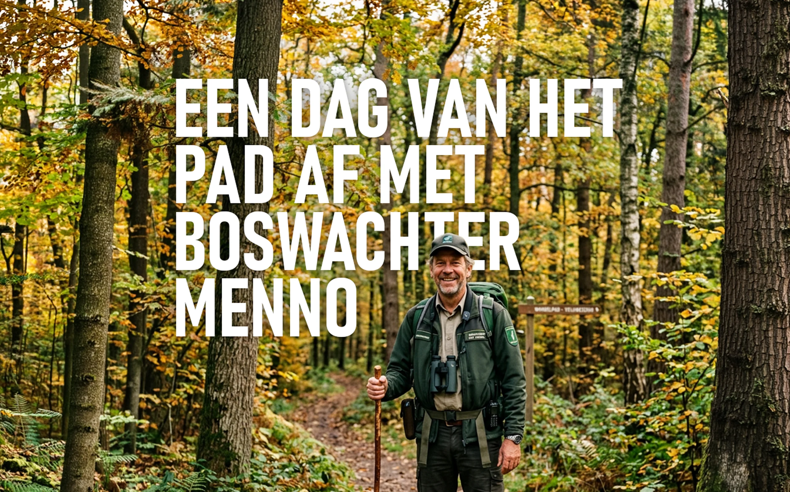 boswachter menno